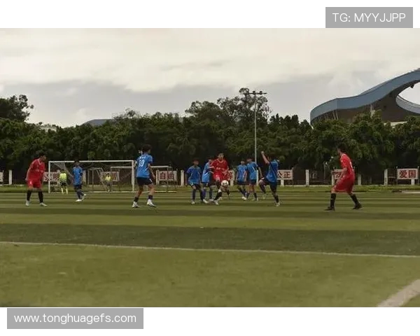 上海足球队的团队协作探秘如何打造冠军精神与默契配合