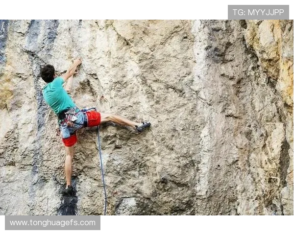 攀岩运动的灵活性探索：上海攀岩队的训练与挑战之路