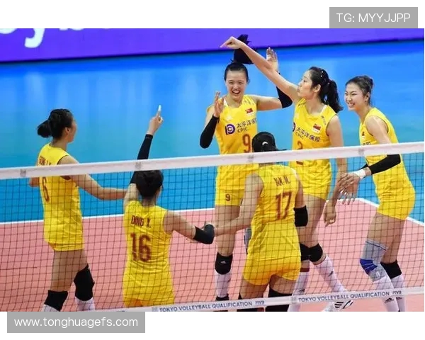 杨强独家分享排球技巧与心得助你提升球技的全面指南