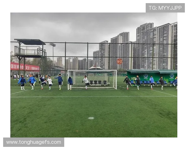 武汉足球队技术表现深度分析与数据解读探讨