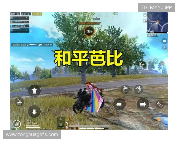 科学和平精英灵活性训练方法探索与实践的全新视角与应用