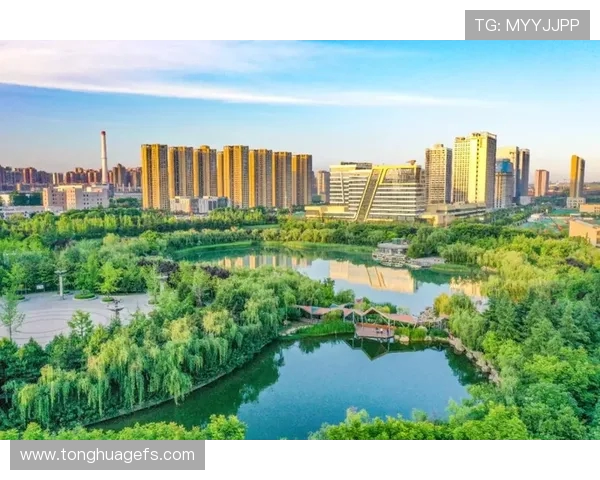 西安网球队实力飙升创造历史新高引发关注与期待