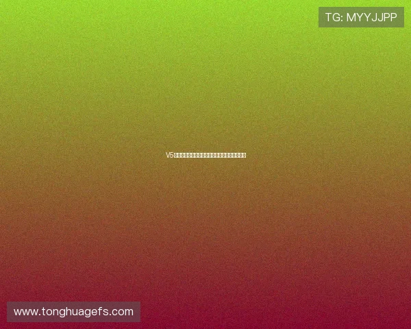 V5战队崛起之路：从默默无闻到城市赛的璀璨明星