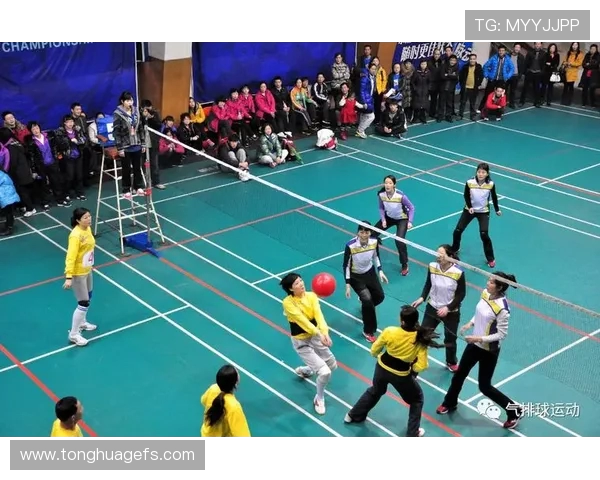 广州排球队比赛经验的创新与变革引发热议